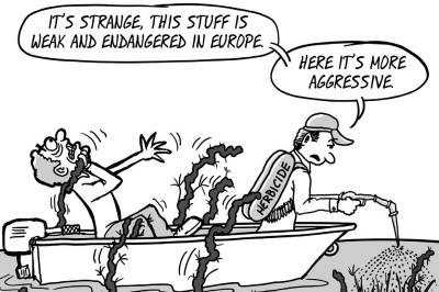 March 10 2017 Edition