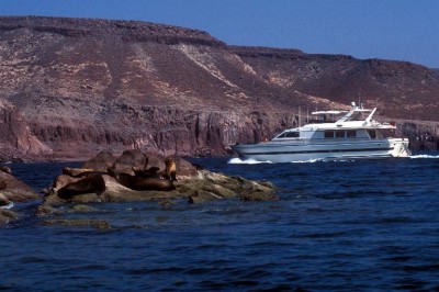 Boat Spots Elite Seal Team