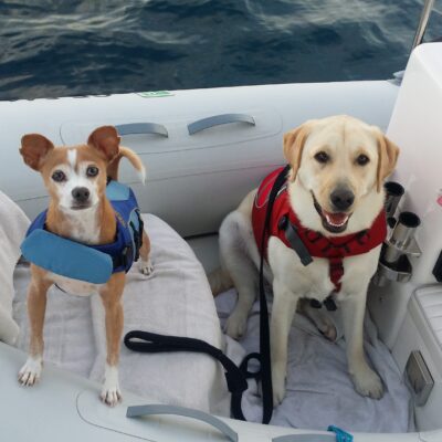 Partners in Crime