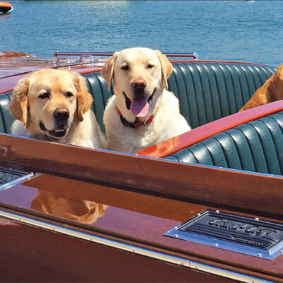 Augie,-Rusty-and-Lennon Augie,-Rusty-and-Lennon