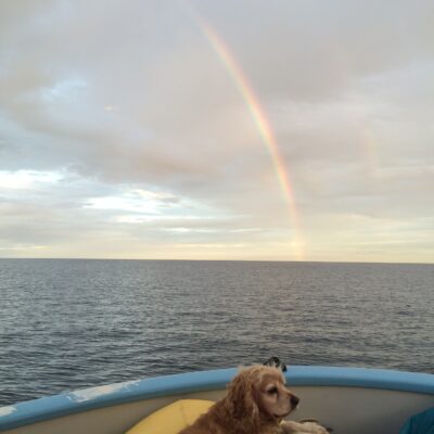 Somewhere Under the Rainbow