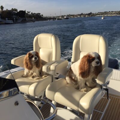 Holly and Ben