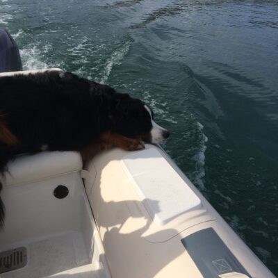 Cooper