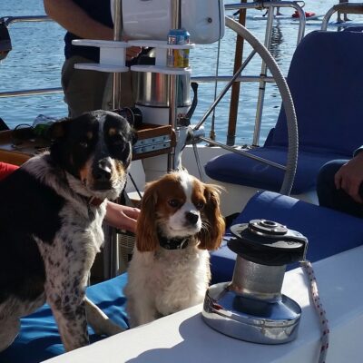 Indie and Charlie