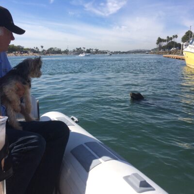 Dog Aboard: Remington