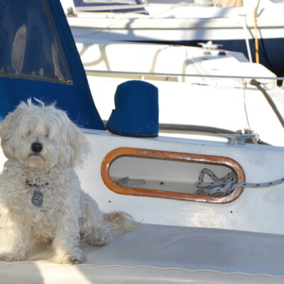 Anchors Aweigh