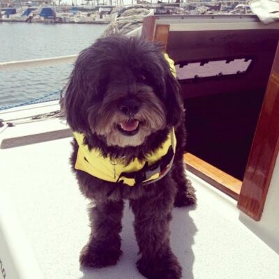 Sammy