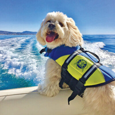 Digby in Dana Point Digby in Dana Point