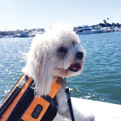 Cruising with happiness