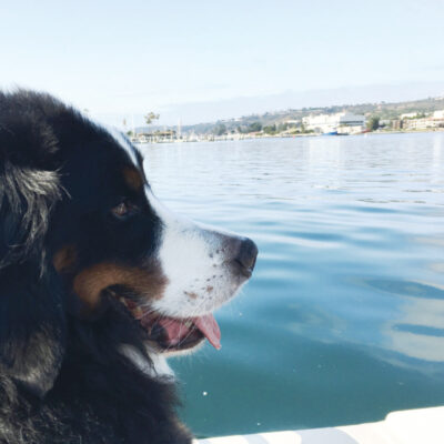 Cruising with Cooper