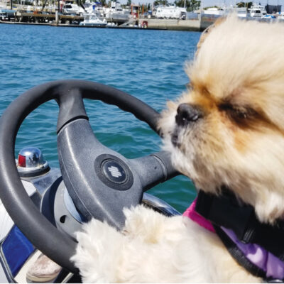 Whale Hunting with Chloe
