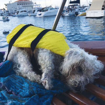 Bentley McStockton visits Catalina Island