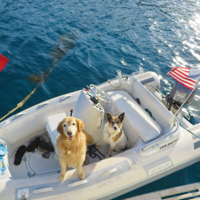 Cruising Huntington Harbor with Stella and Stormy