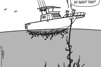 April 20 2018 Edition