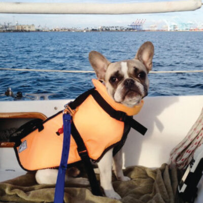 Titus sails the San Pedro Channel