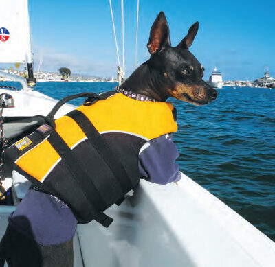 HEART AND SOUL OF A SAILOR