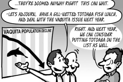 June 29 2018 Edition