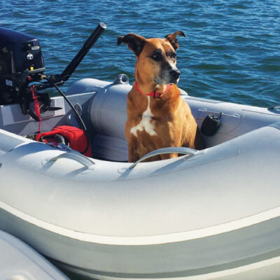 A DAY ON THE WATER IN HUNTINGTON HARBOR
