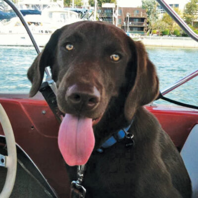 SAILING WITH CAPTAIN BENFORD