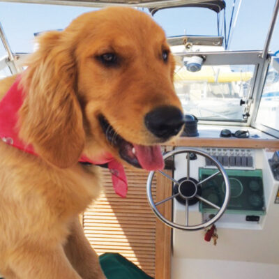 CRUSING-WITH-CAPTAIN-ROOSTER