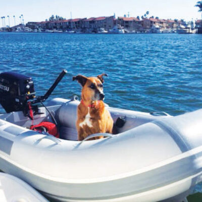 DINGHY RIDES IN HUNTINGTON HARBOUR WITH KONA