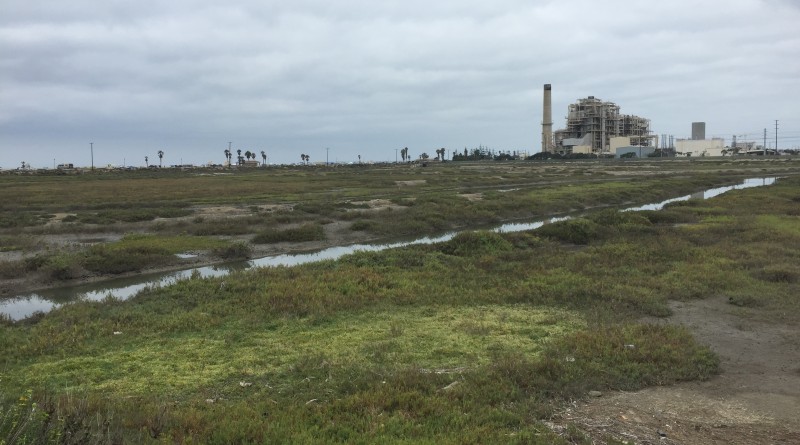 Poseidon Desalination Plant