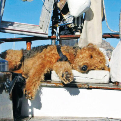 ASLEEP AT THE WHEEL