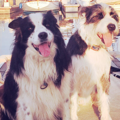 SITTIN’ ON THE DOCKS OF SHORELINE MARINA