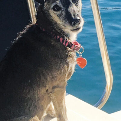 MARLO THE VETERAN MARINER