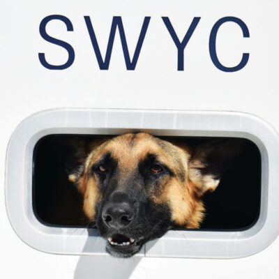 SHEVA ON WATCH
