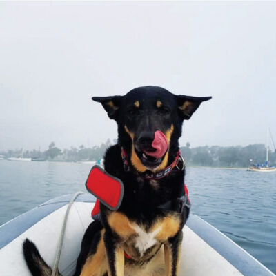 AGGIE ONBOARD