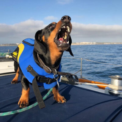 STARBOARD!