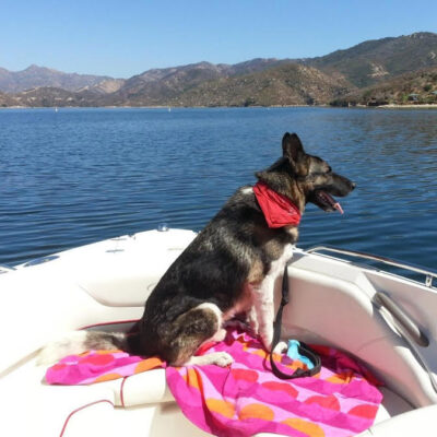 BOW RIDING BOBBY