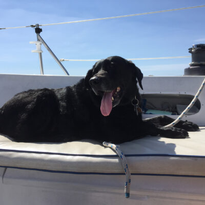 CHESTER THE SAILING LAB