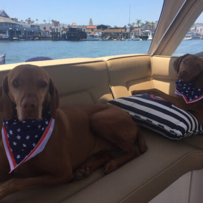 SEEING DOUBLE