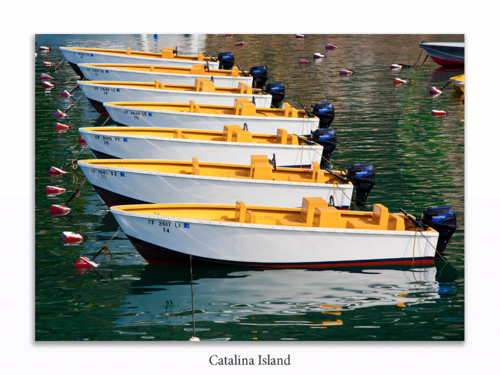 Catalina Island prints